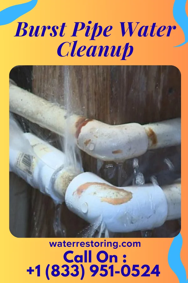 Burst Pipe Water Cleanup in Loris, SC