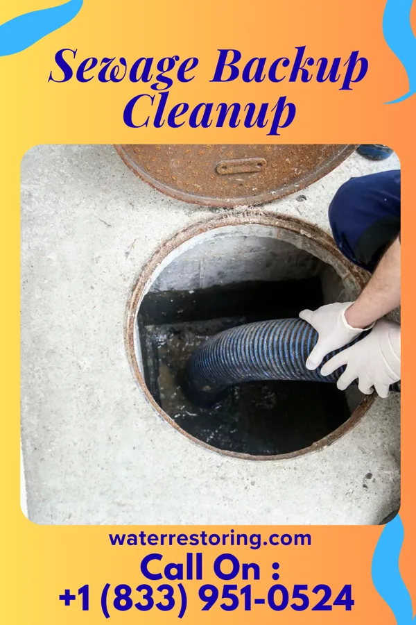 Sewage Backup Cleanup in Loris, SC