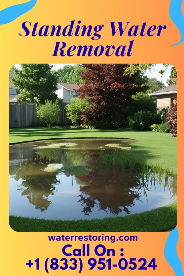 Standing Water Removal in Loris, SC